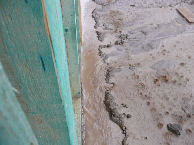 P1040336.JPG