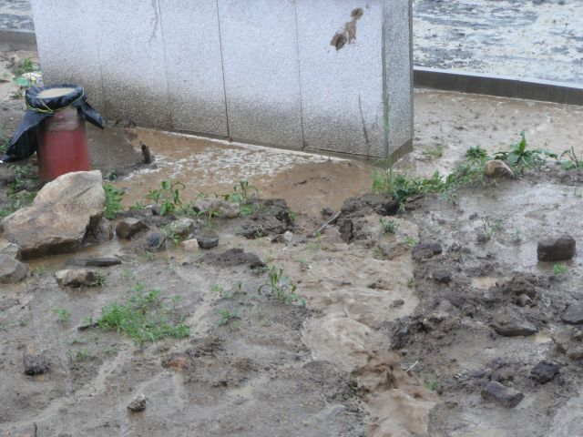 P1040343.JPG