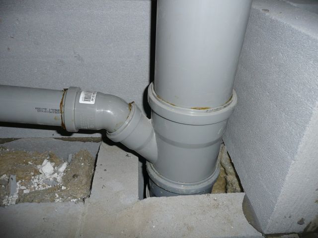 P1050489.JPG