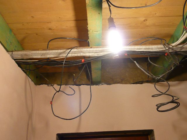 P1050790.JPG
