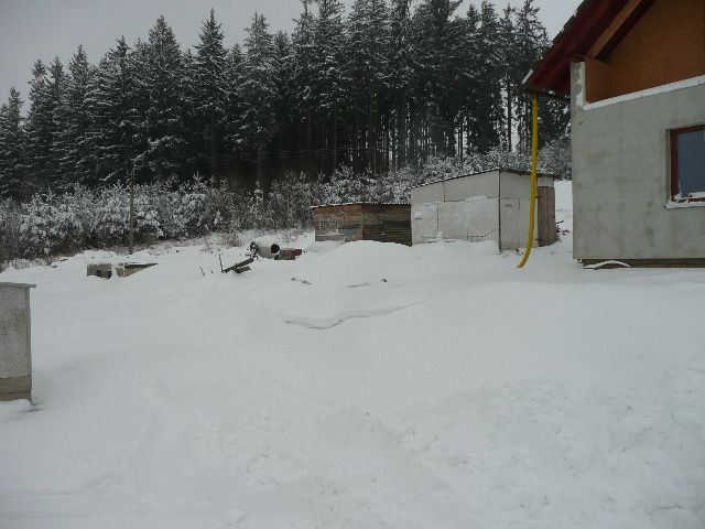P1050830.JPG