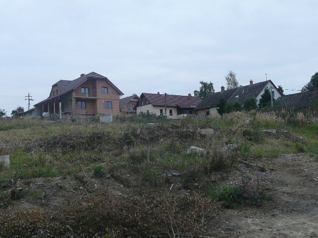 P1030032.JPG