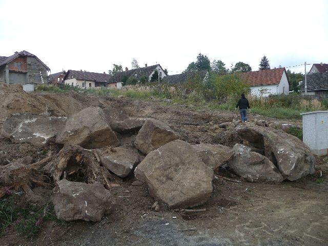P1030088.JPG